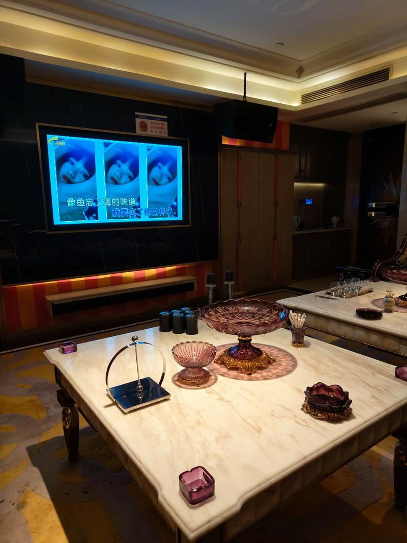 常德商务ktv专业商务ktv预订推荐-安乡县ktv预定